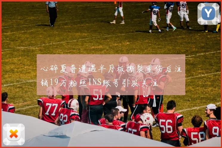 心碎夏普遭遇半月板撕裂重伤后注销19万粉丝INS账号引发关注